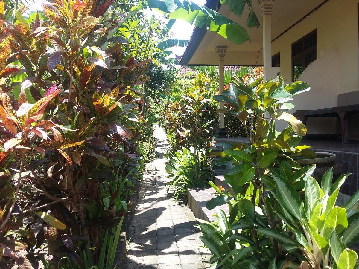 Surya * Selemadeg (Bali)