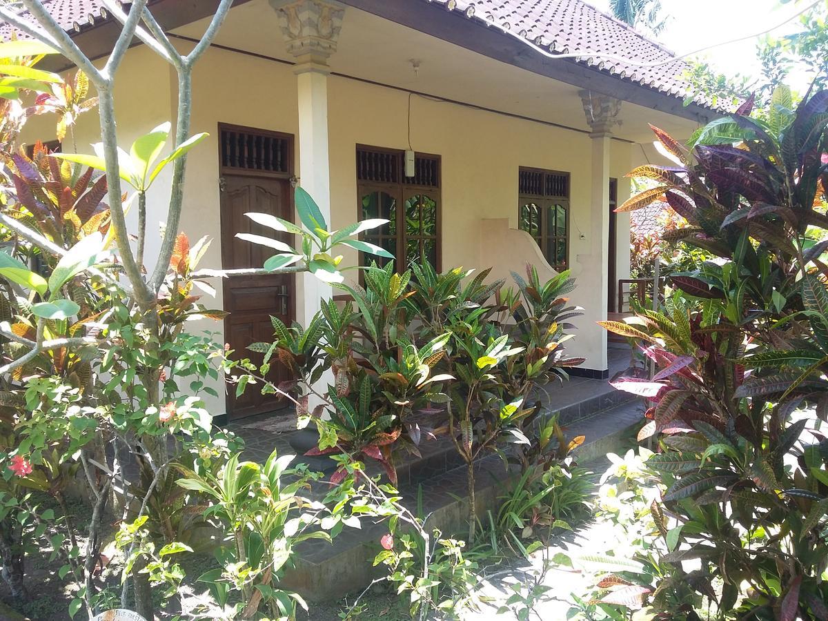 Bed & Breakfast Surya *