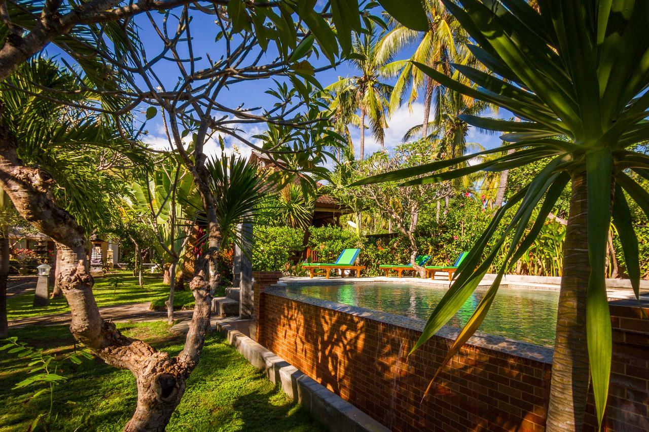 Oasis 3* Amed (Bali)