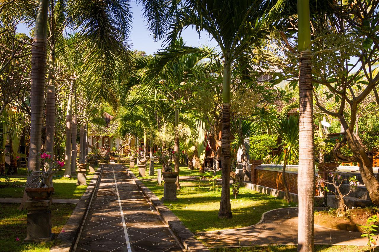 Hotel Oasis 3*