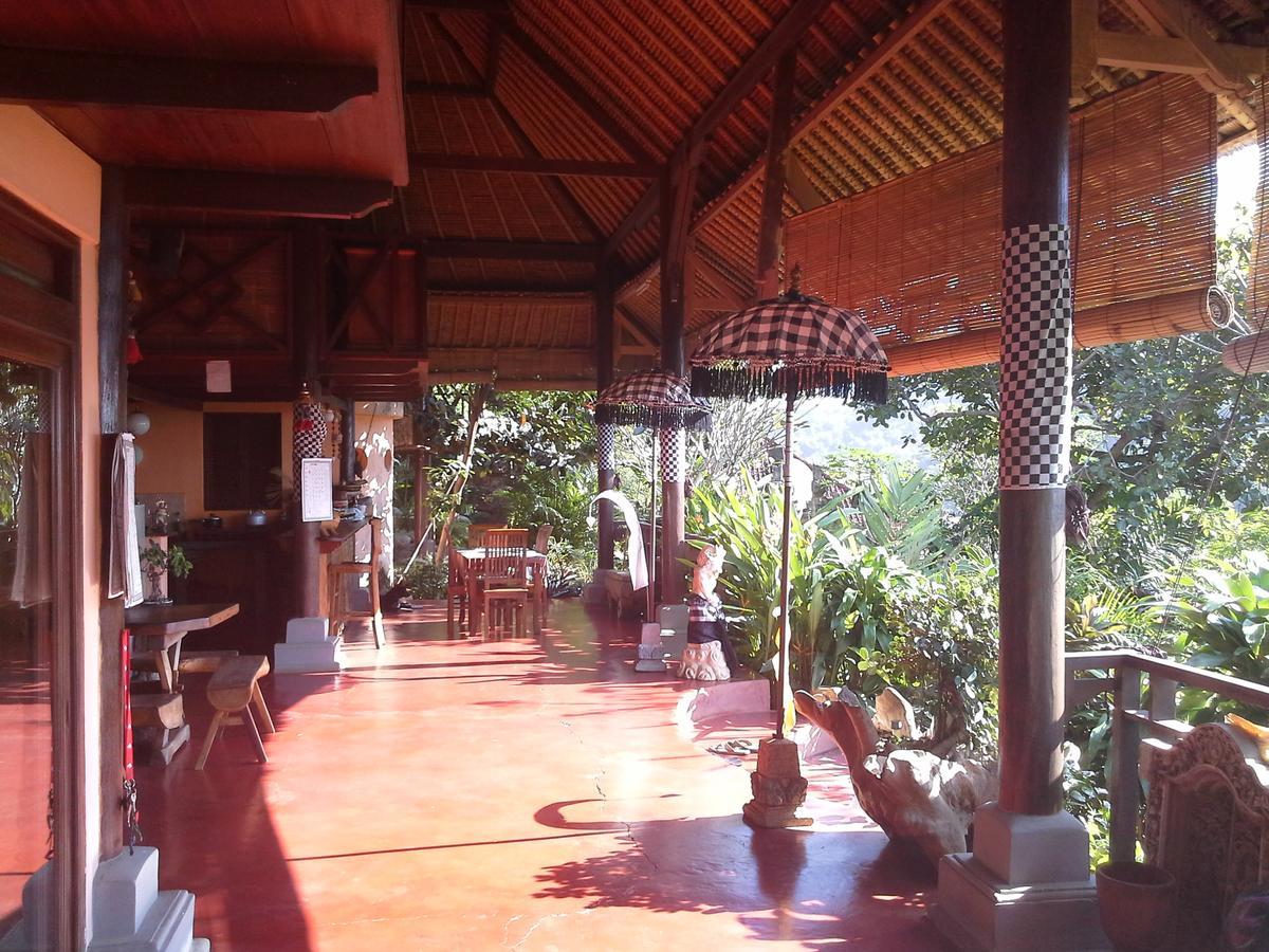 Manouria - Marcel * Padangbai (Bali)