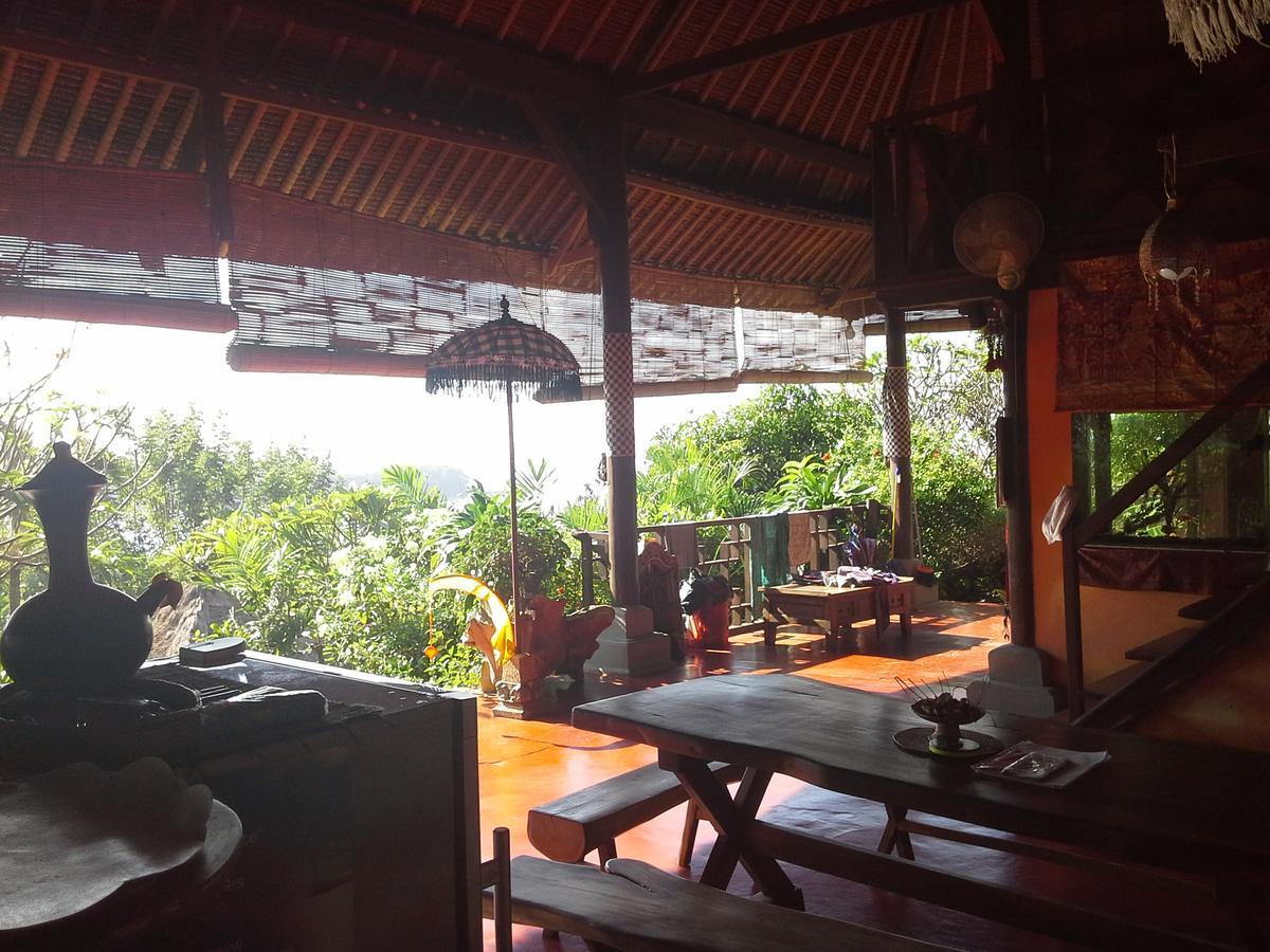 Manouria - Marcel * Padangbai (Bali)