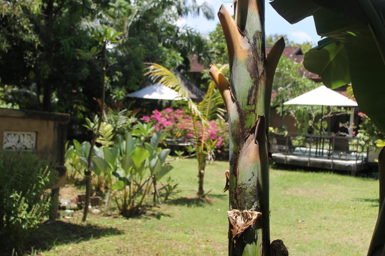 Puri Kutat Lestari Guest house