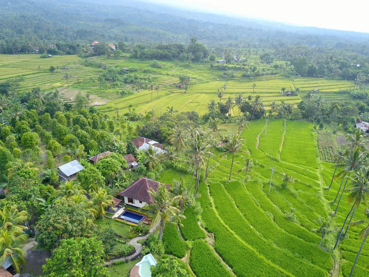 Lafyu Bali