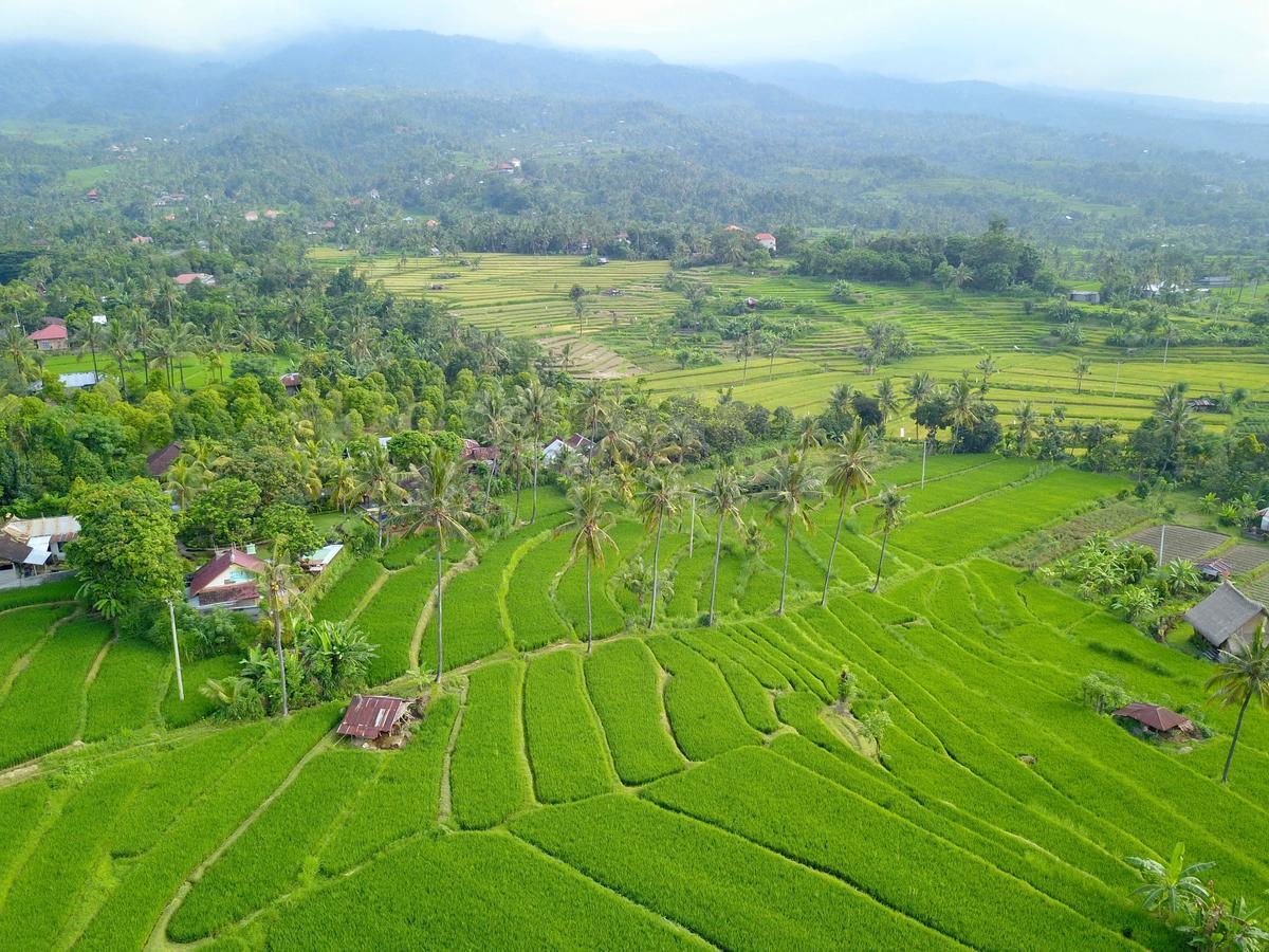 Lafyu Bali Singaraja (Bali)