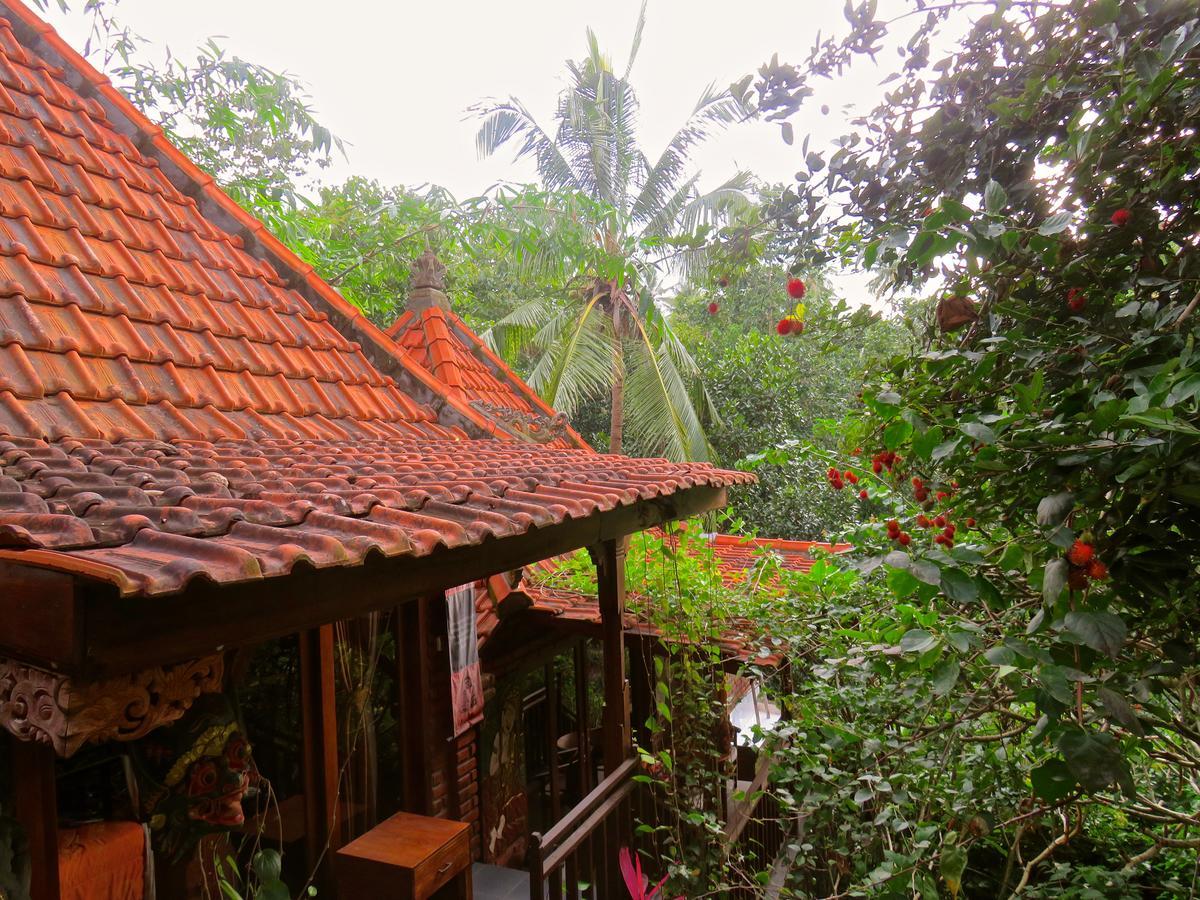 Homestay Bulian *