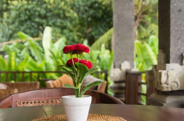 Villa Lily Lane Ubud (Bali)
