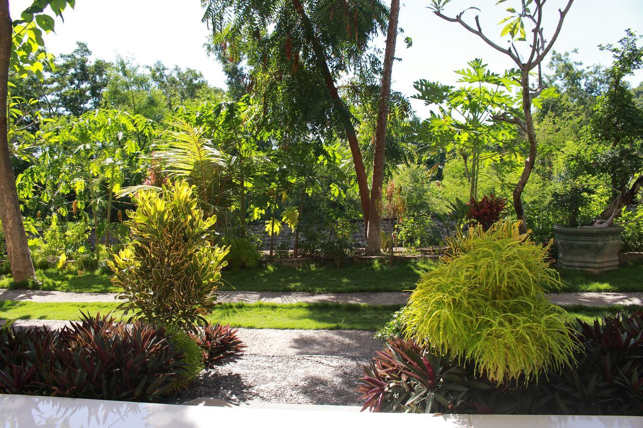 Taman Padi Guest house