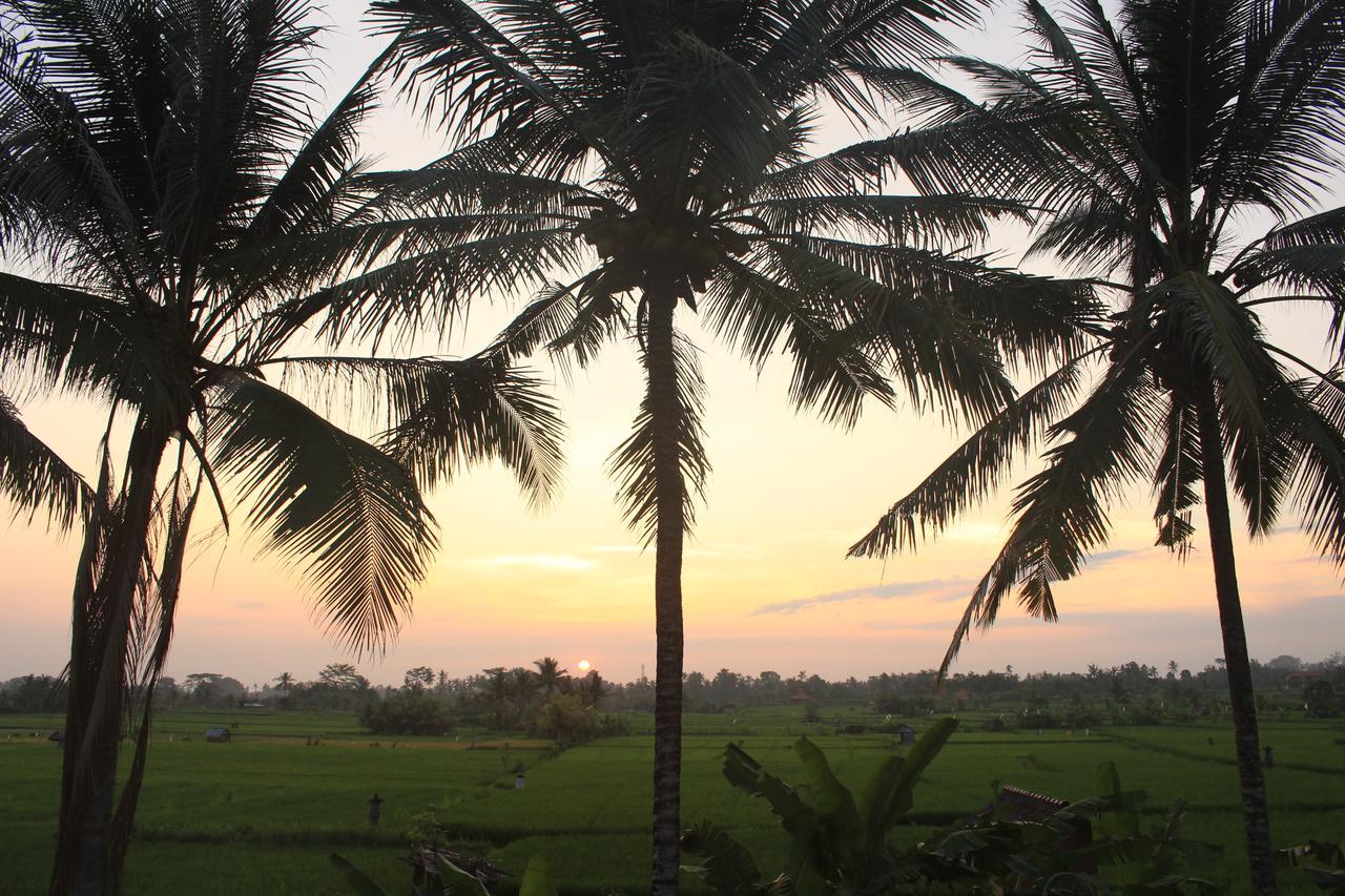 Uma Capung Mas Resort Ubud (Bali)