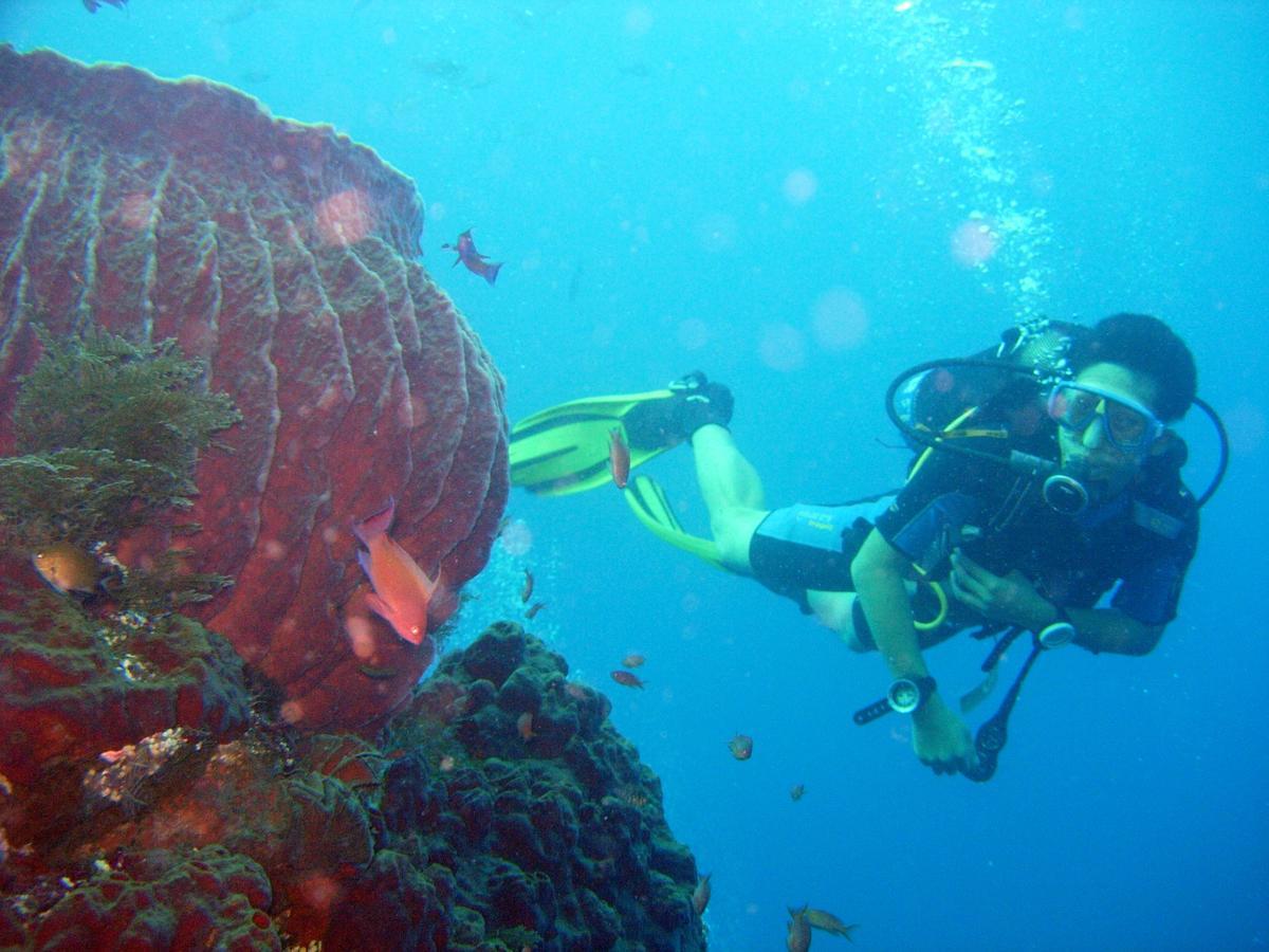 Bali Umah Tinjung 3*