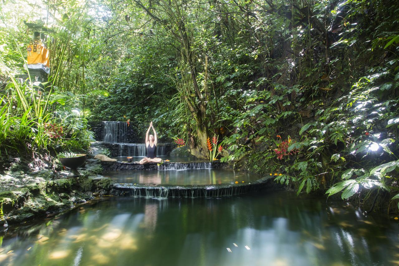 Alassari Plantation Selemadeg (Bali)