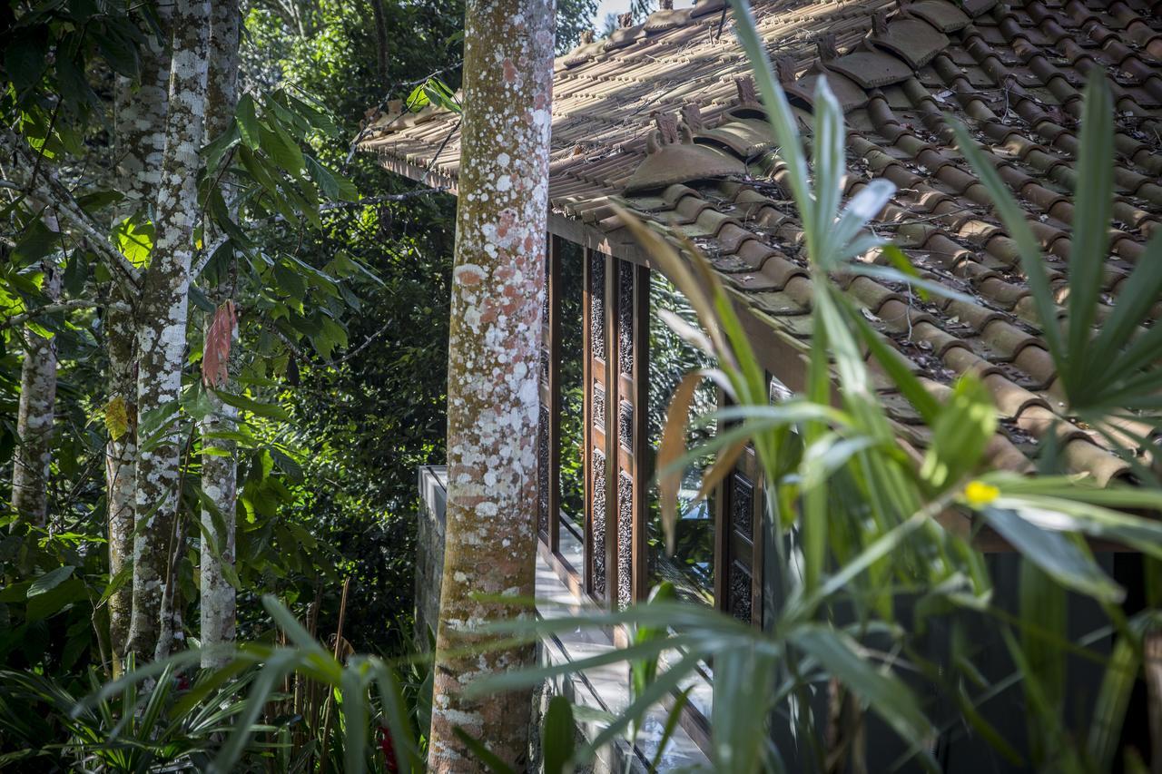 Resort Alassari Plantation