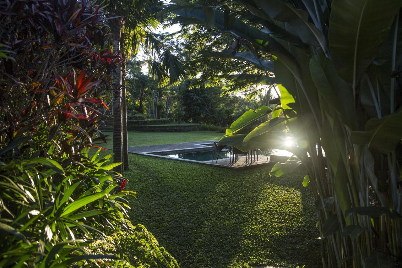 Resort Alassari Plantation