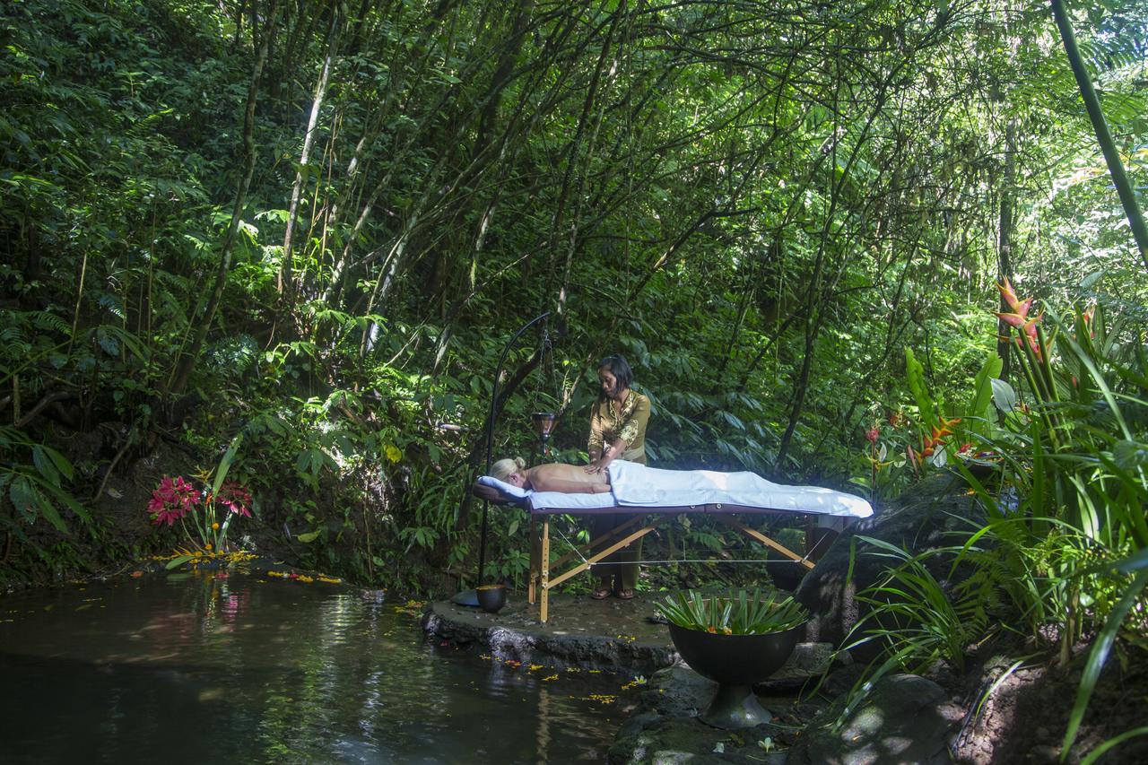 Alassari Plantation 5*