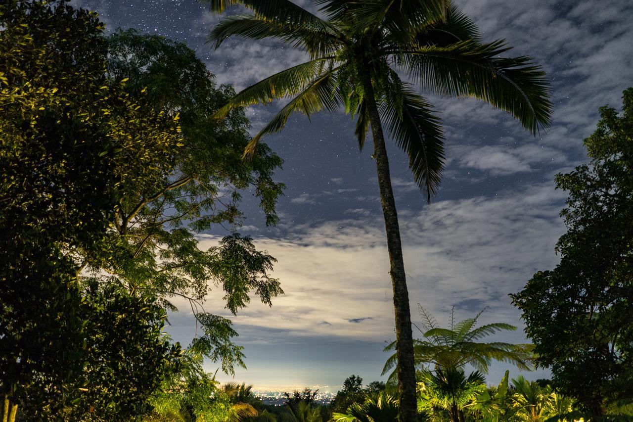Alassari Plantation 5*