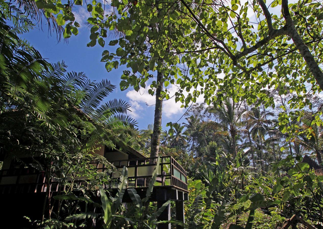 Alassari Plantation Resort Selemadeg (Bali)