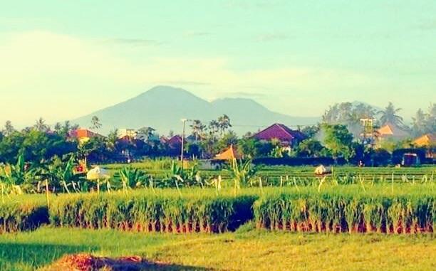 The Hideaway * Canggu (Bali)