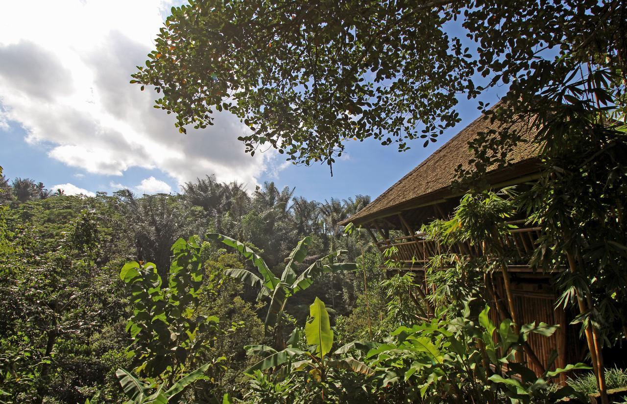 Resort Alassari Plantation