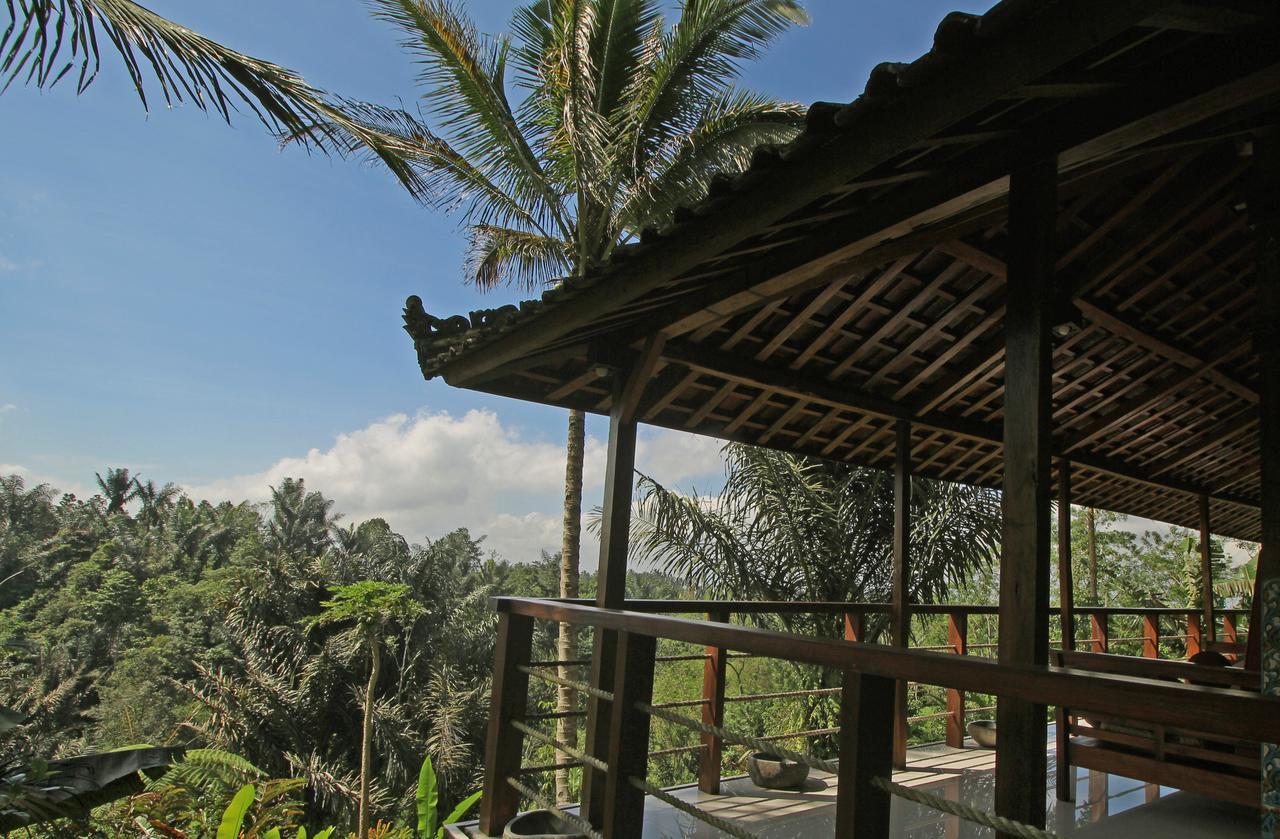 Alassari Plantation 5*