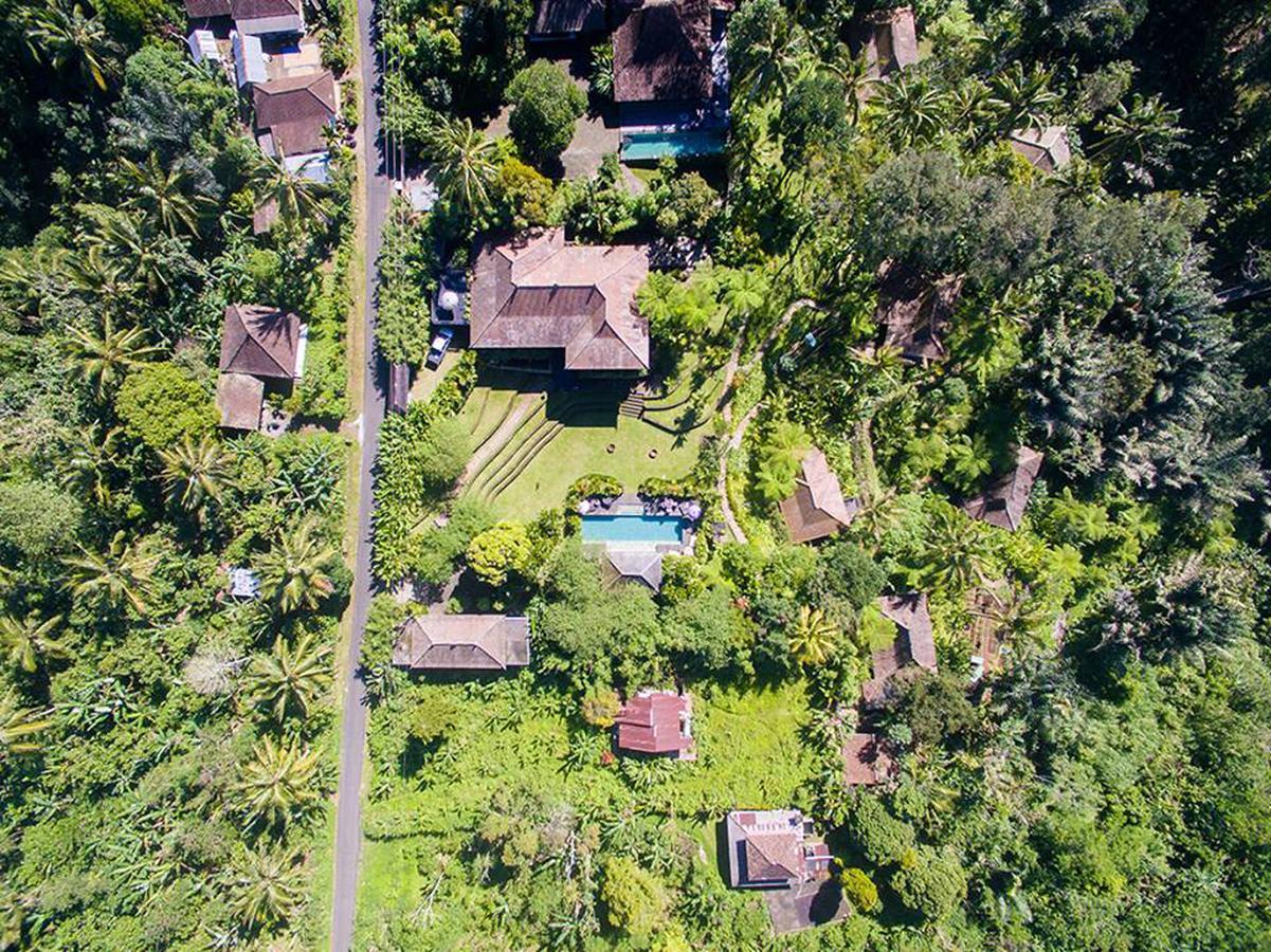 Resort Alassari Plantation Selemadeg (Bali)