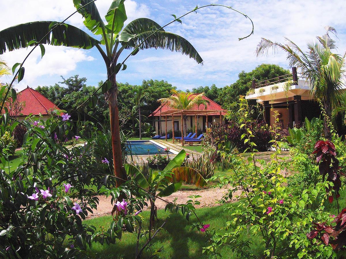 Resor Batu Ampar Menjangan 4*