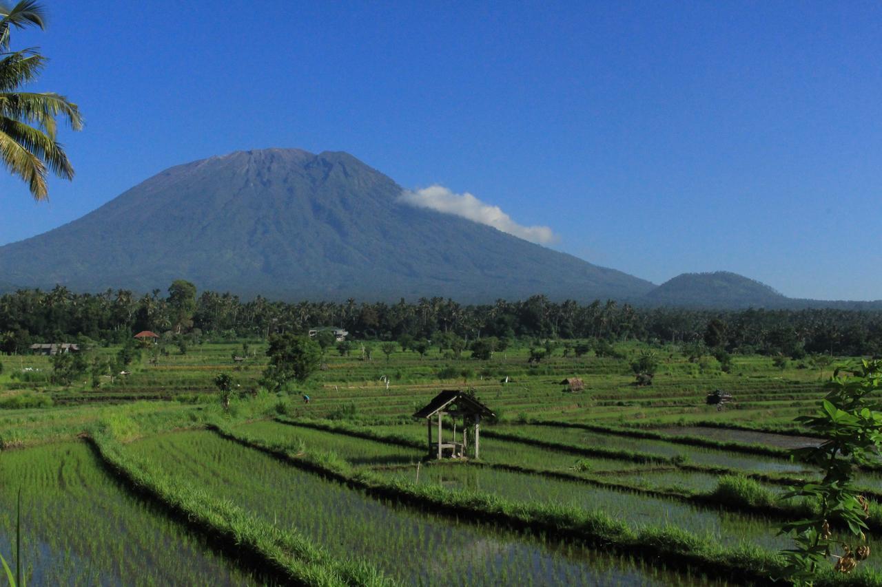 Holiday park Bali Butterfly Villas