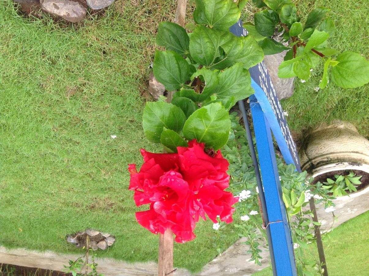 Lily Beach * Amed (Bali)