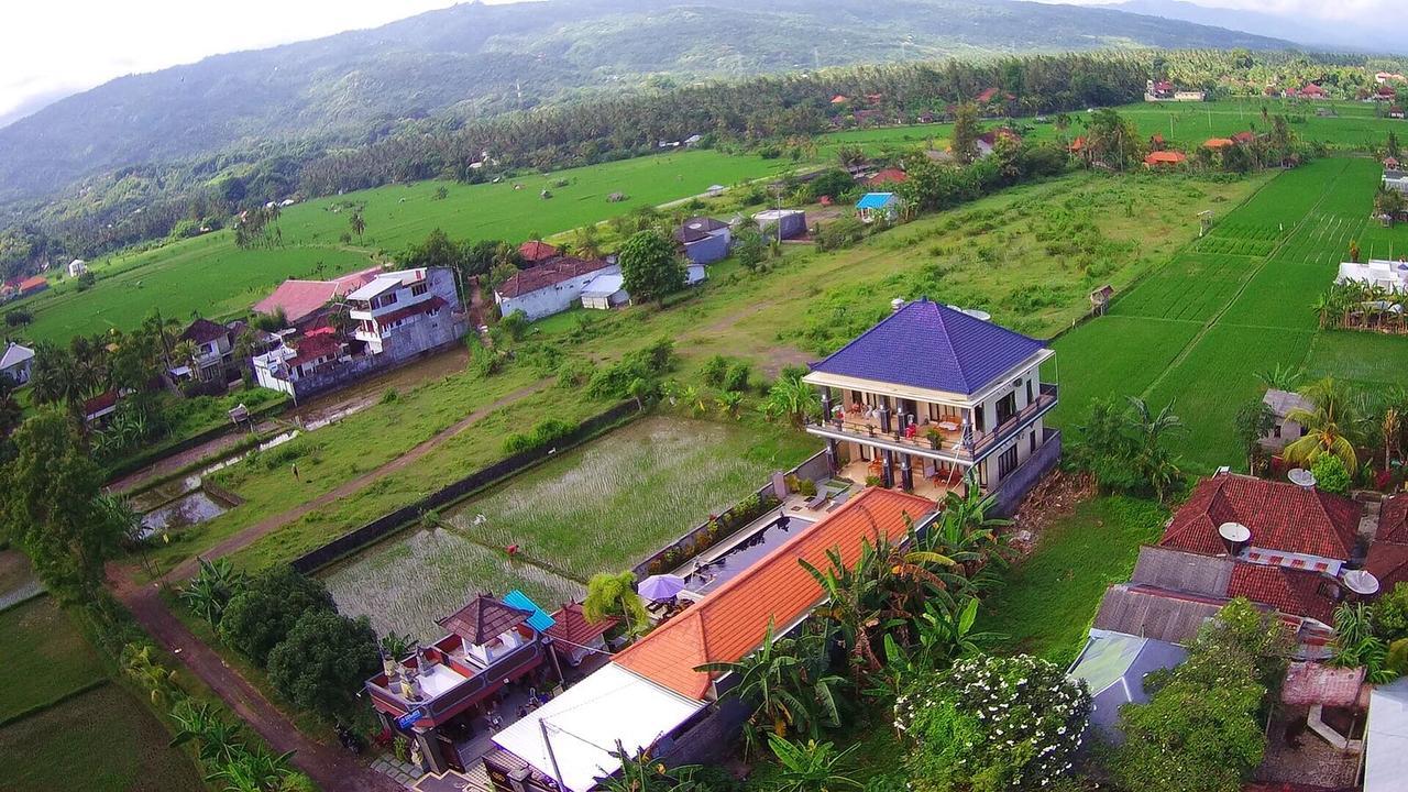 Summer Guest house Lovina (Bali)