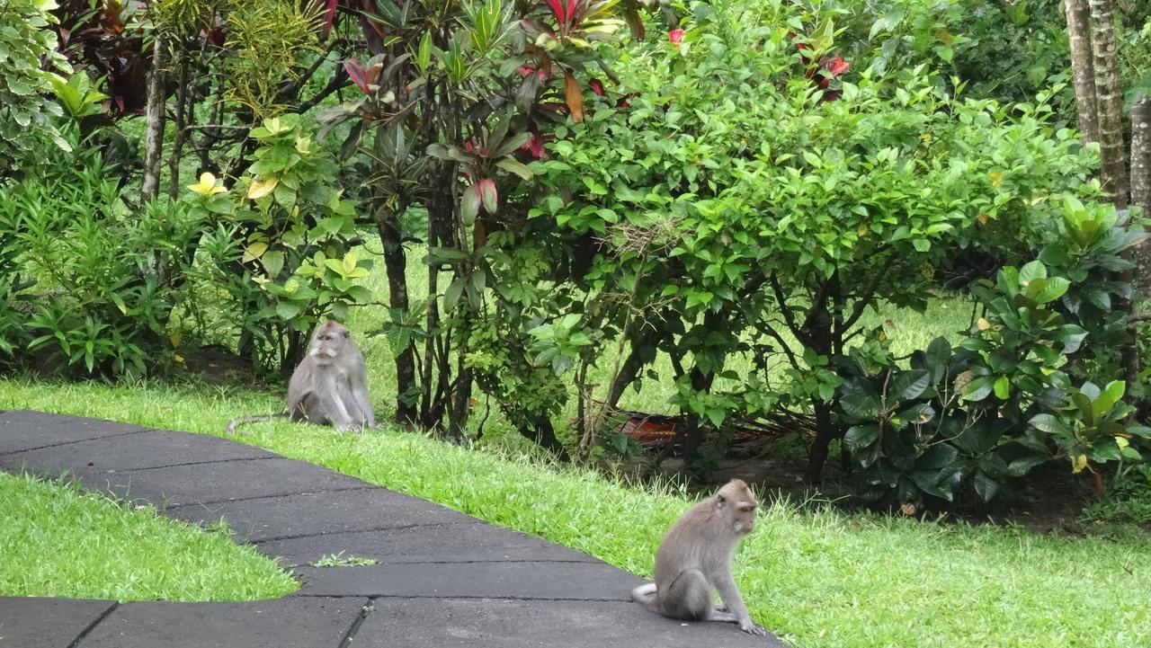 Guest house Wenara Bali 3*