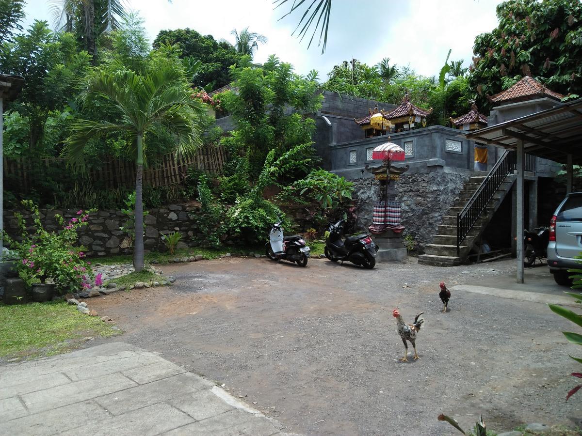 Memes House Backpacker 2*