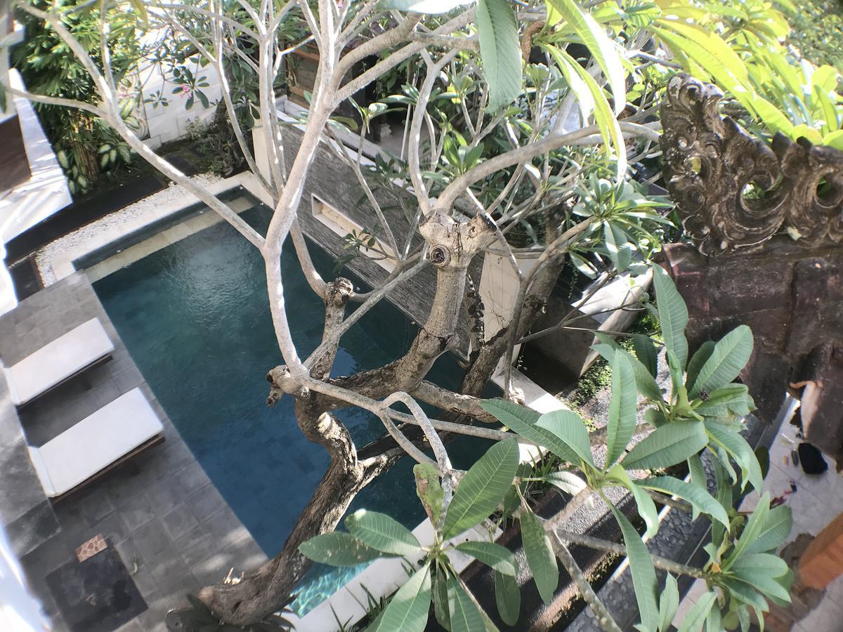Kubu Munggu * Sanur (Bali)