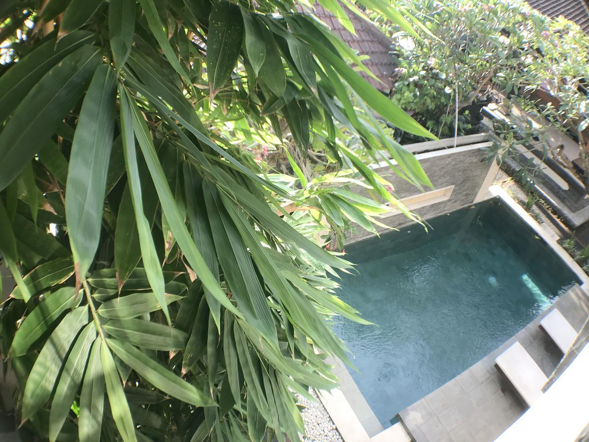 Kubu Munggu Sanur (Bali)