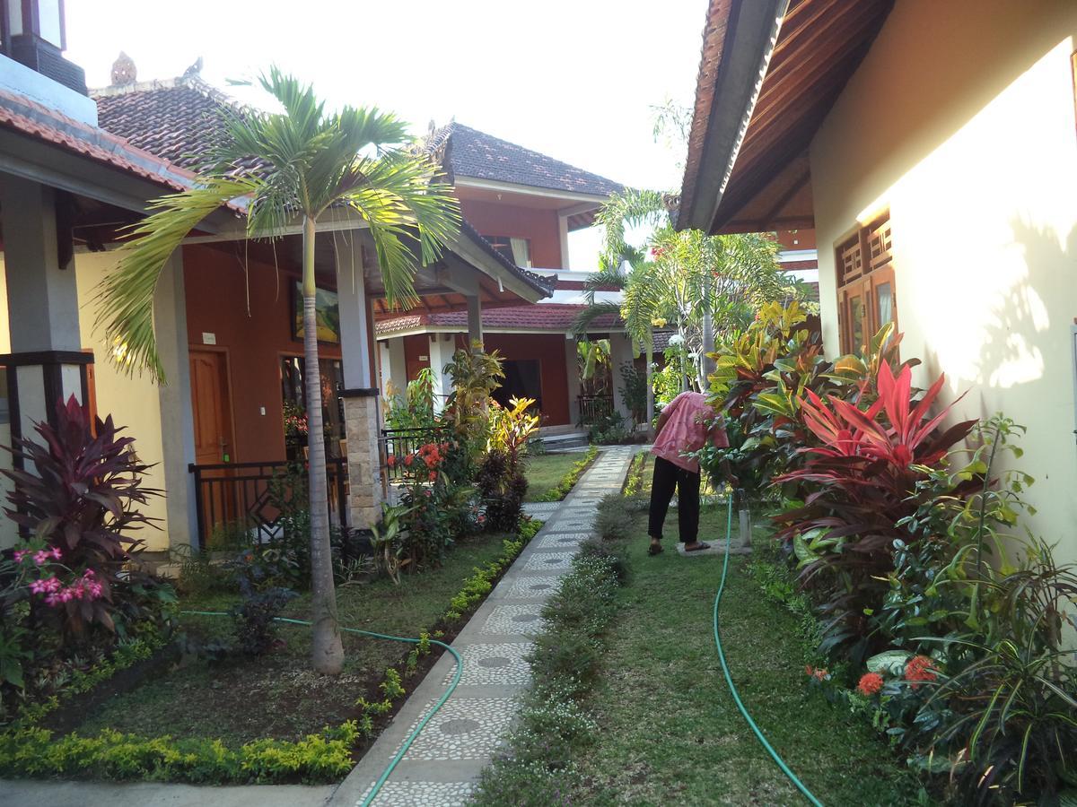 Guest house My Lovina (Bali)