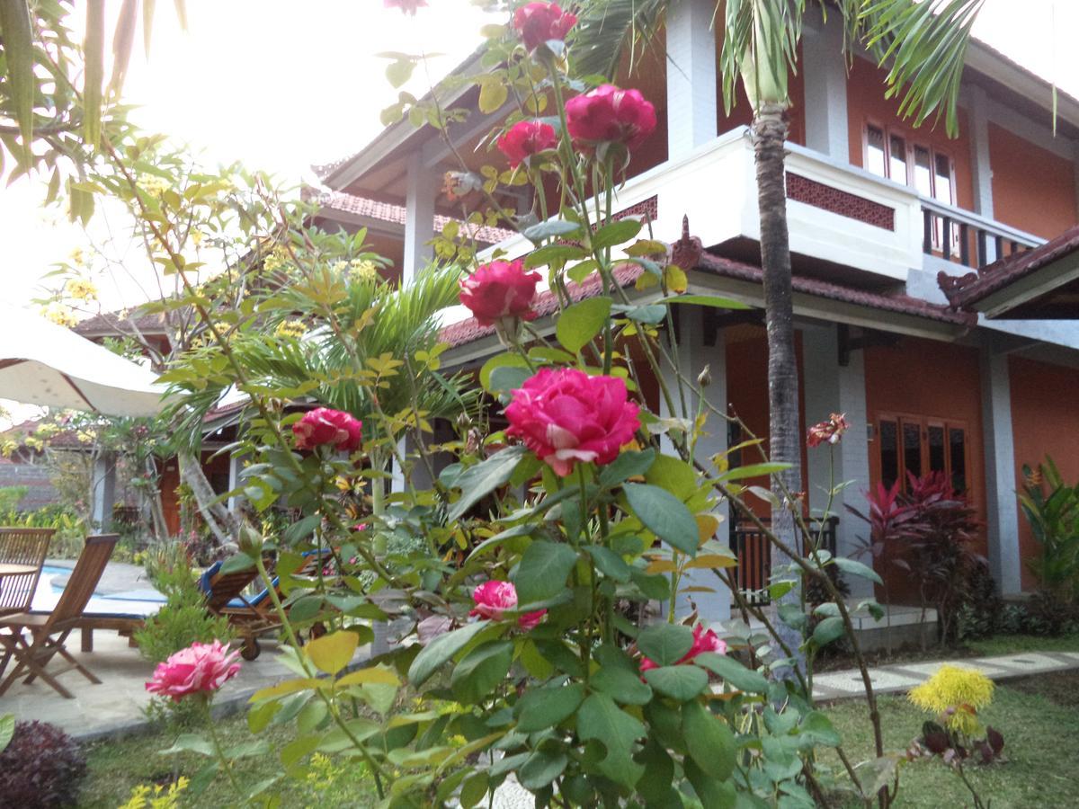 Guest house My 4*