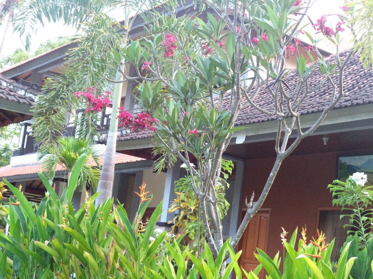 Guest house My Lovina (Bali)