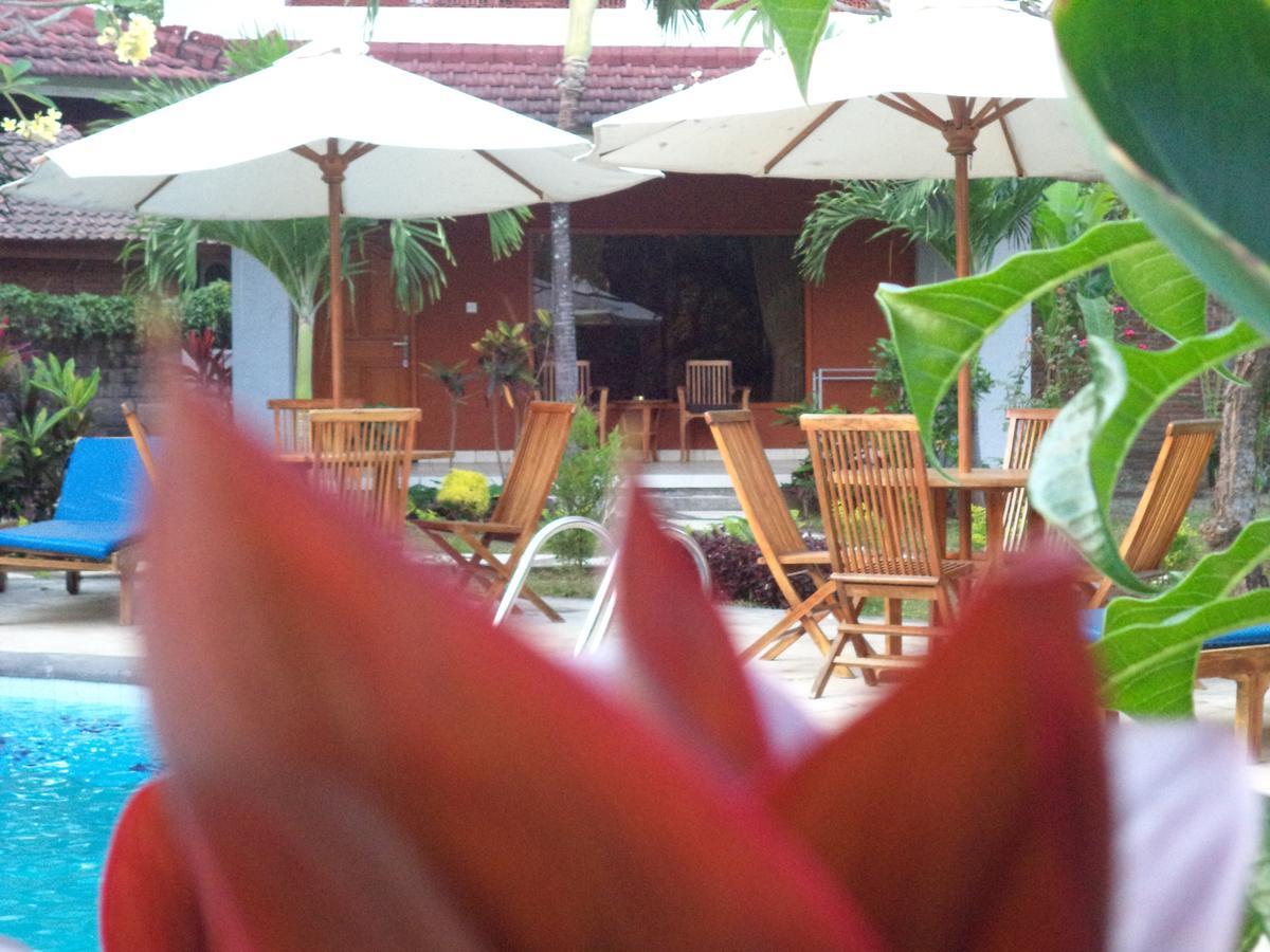 My 4* Lovina (Bali)