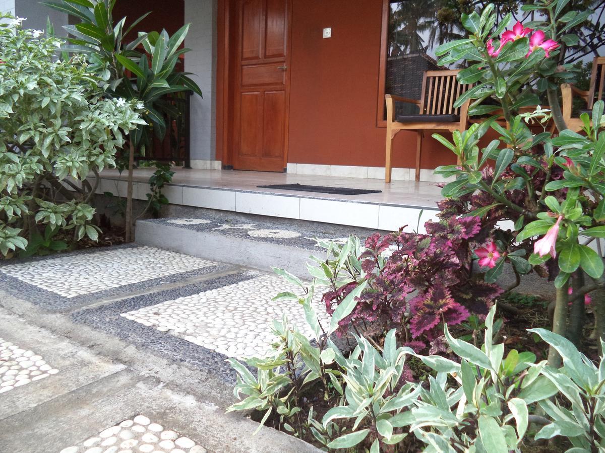 My 4* Lovina (Bali)