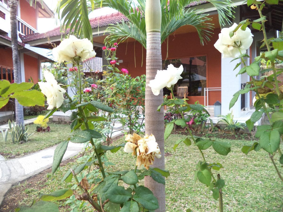 Guest house My Lovina (Bali)