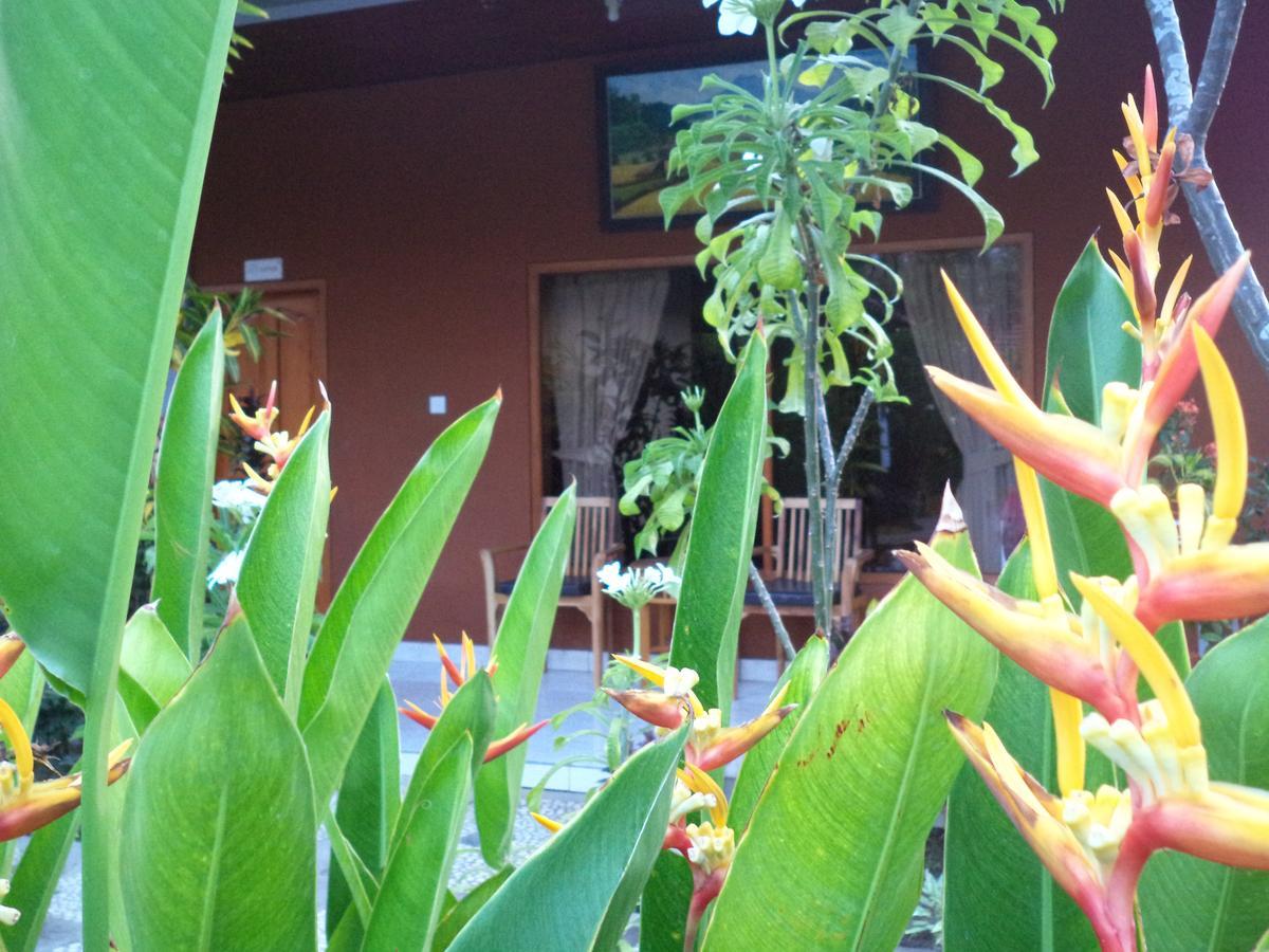 My 4* Lovina (Bali)