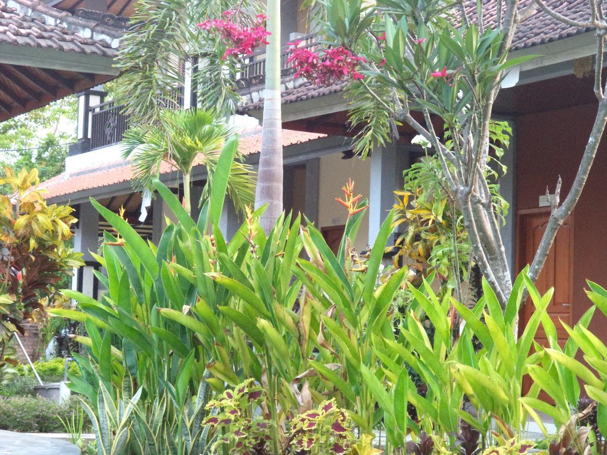My 4* Lovina (Bali)