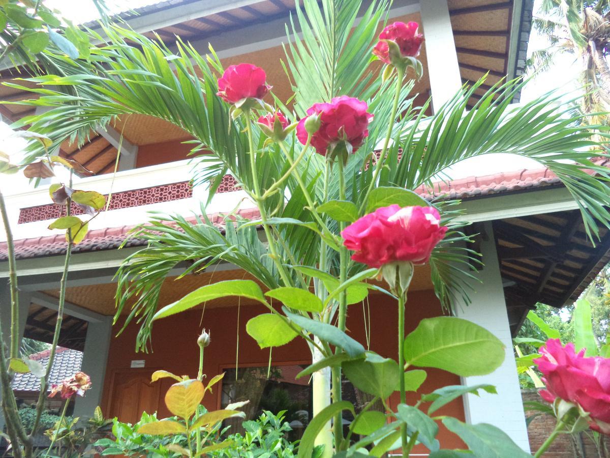 My Lovina (Bali)