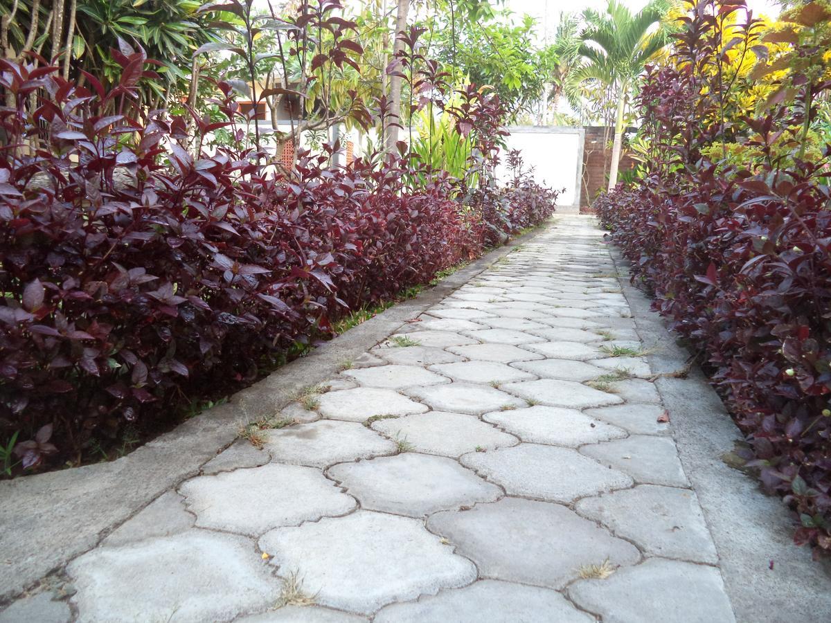 My Guest house 4*
