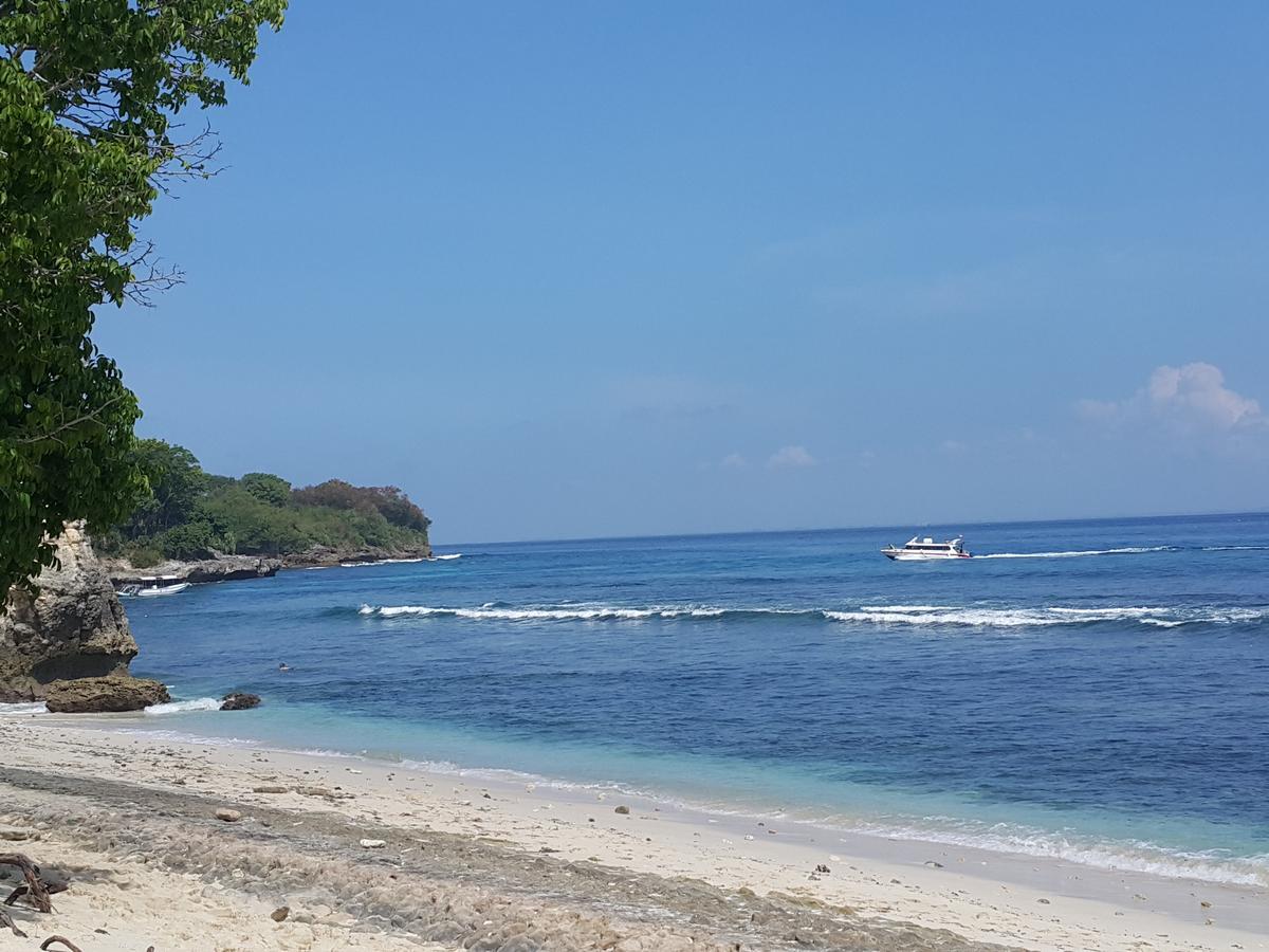The Taran Guest house 2*