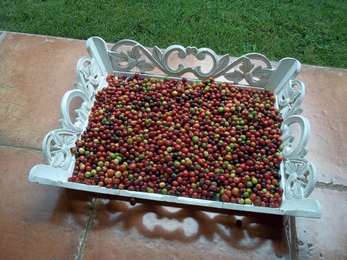 Bukit Asri Seraya