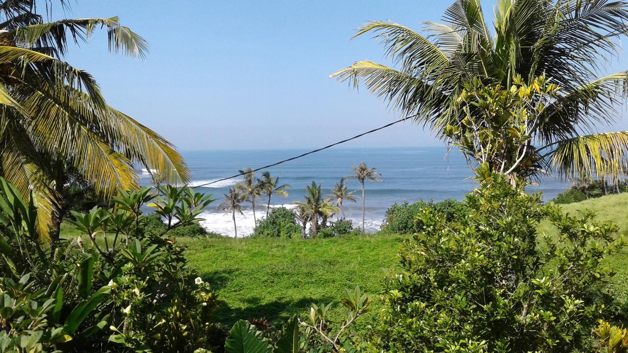 Pisces Balian Selemadeg (Bali)