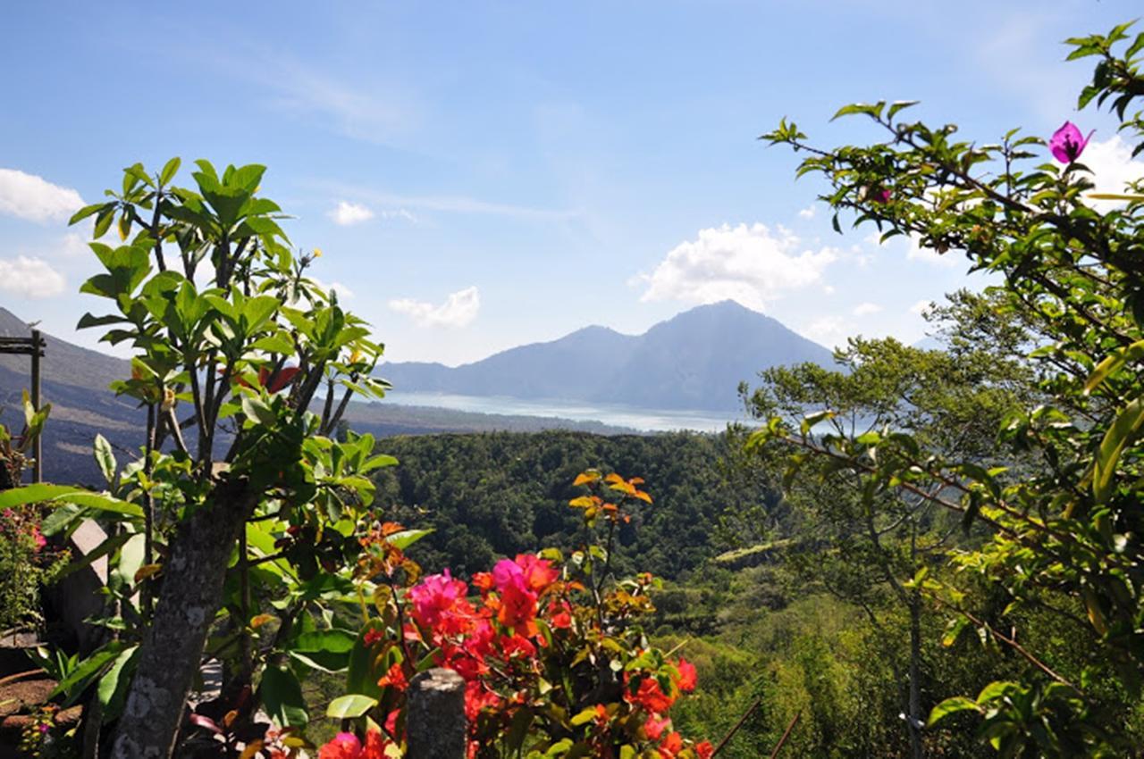 Alam Mimpi Bali 3* Tejakula