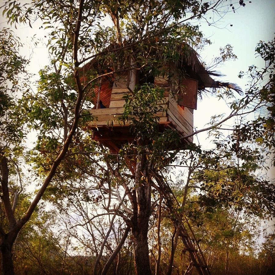 Rumah Pohon Holiday park Batununggul