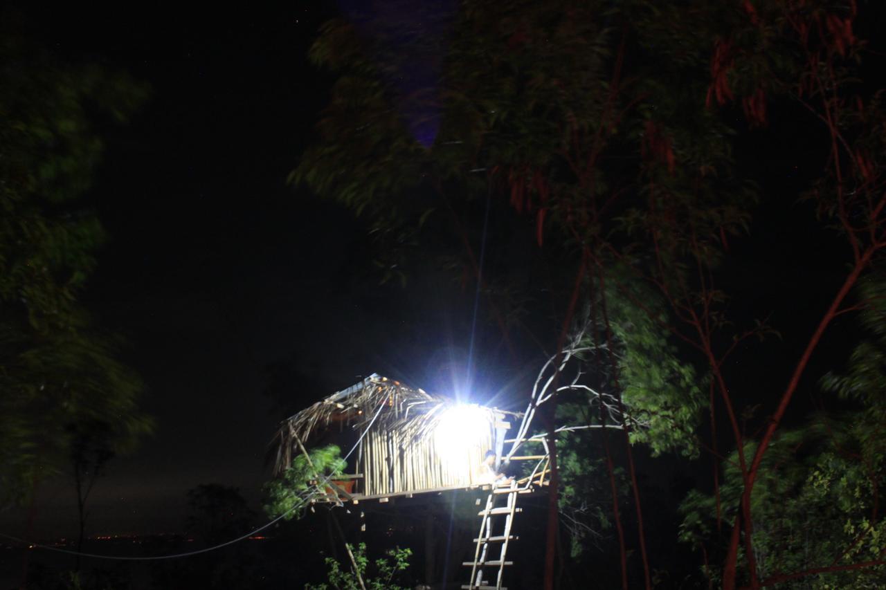 Rumah Pohon Holiday park