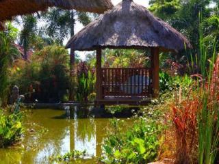 Hotel Bluehill Dive 3*