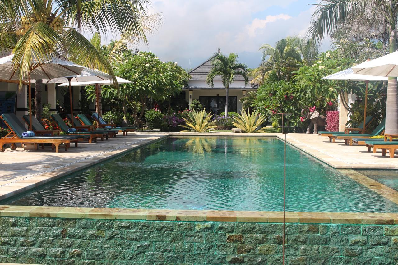 Guest house Kelapa Lovina (Bali)